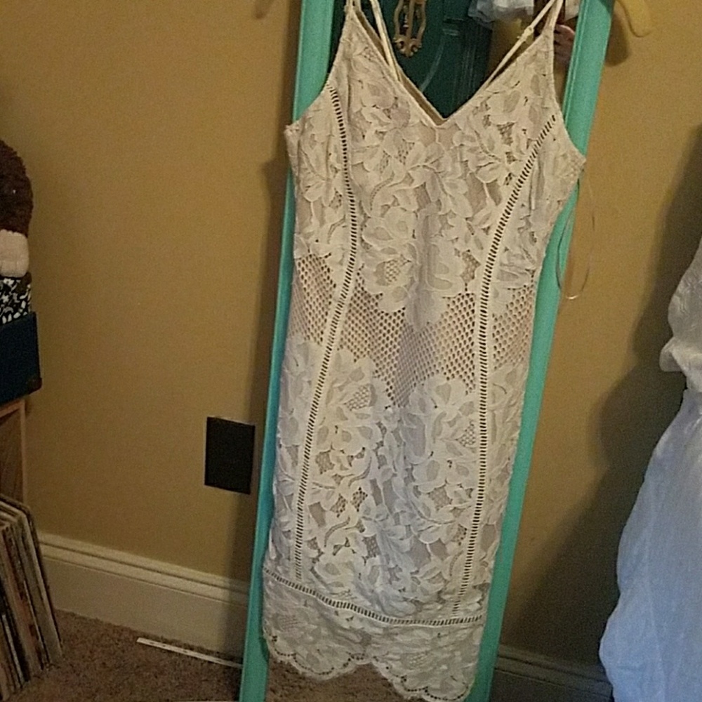Elegant Lace Dress